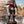Prestige Line – Assassin’s Creed Edward 1/2 Scale Statue