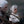 The Witcher 3: Wild Hunt Ciri of Cintra 1/6 Scale Premium Articulated Figure