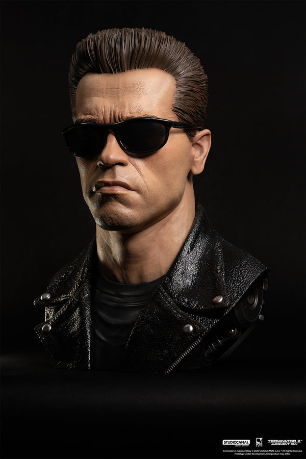 Terminator 2 T-800 Model 101 Art Mask Exclusive Edition