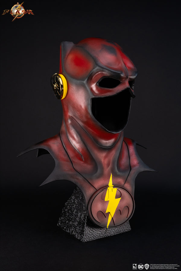 The Flash Young Barry 1:1 Scale Cowl Replica Exclusive Edition