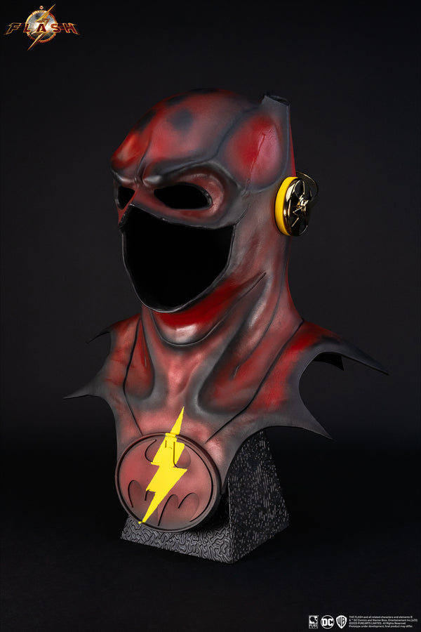 The Flash Young Barry 1:1 Scale Cowl Replica Exclusive Edition