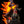 Assassin’s Creed Shadows: Animus Naoe & Yasuke 1/4 Scale Statue Exclusive Edition