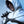 Prestige Line – Assassin’s Creed Altair Ibn-La'Ahad 1/2 Scale Statue