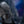 Elden Ring Nightreign Helmet of Wylder Mini Replica 1/3 Scale