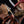 Assassin's Creed Spartan Kick 1/6 Scale Diorama Exclusive Edition