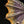 Monster Hunter World Nergigante Statue