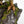 Monster Hunter World Pukei-Pukei Statue Exclusive Edition