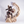 Assassin's Creed: Animus Ezio