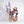 Assassin's Creed: Animus Ezio