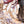 Assassin's Creed: Animus Ezio