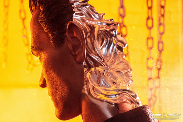 Terminator 2 T-1000 Art Mask Standard Edition