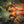 League of Legends Teemo 1/4 Scale Statue Exclusive Edition