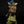 League of Legends Teemo 1/4 Scale Statue Exclusive Edition