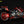 Cyberpunk 2077 Yaiba Kusanagi Bundle (Female): V Female+ Sportbike