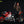 Cyberpunk 2077 Yaiba Kusanagi Bundle (Female): V Female+ Sportbike