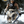 Elder Scrolls V: Skyrim Dragonborn 1/6 Articulated Figure DELUXE EDITION
