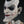 The Joker Life-Sized Bust